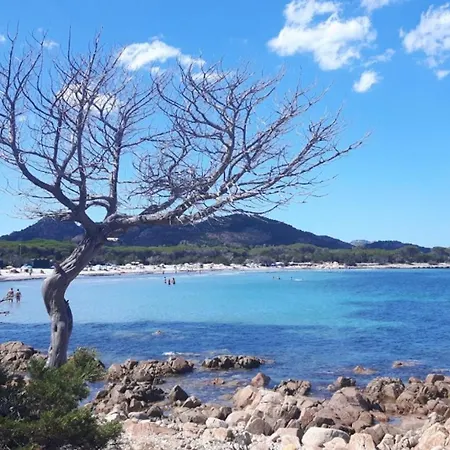 Apartmán Pietramarina 6 Posti Cala Liberotto