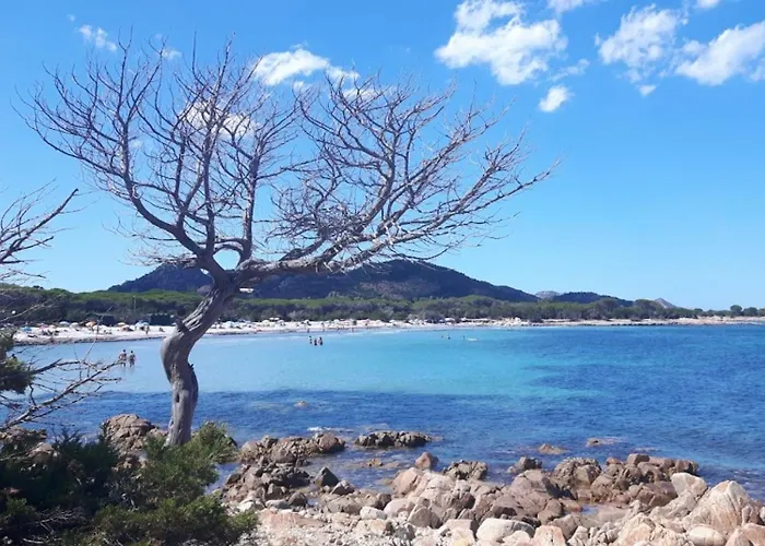 Apartmán Pietramarina 6 Posti Cala Liberotto